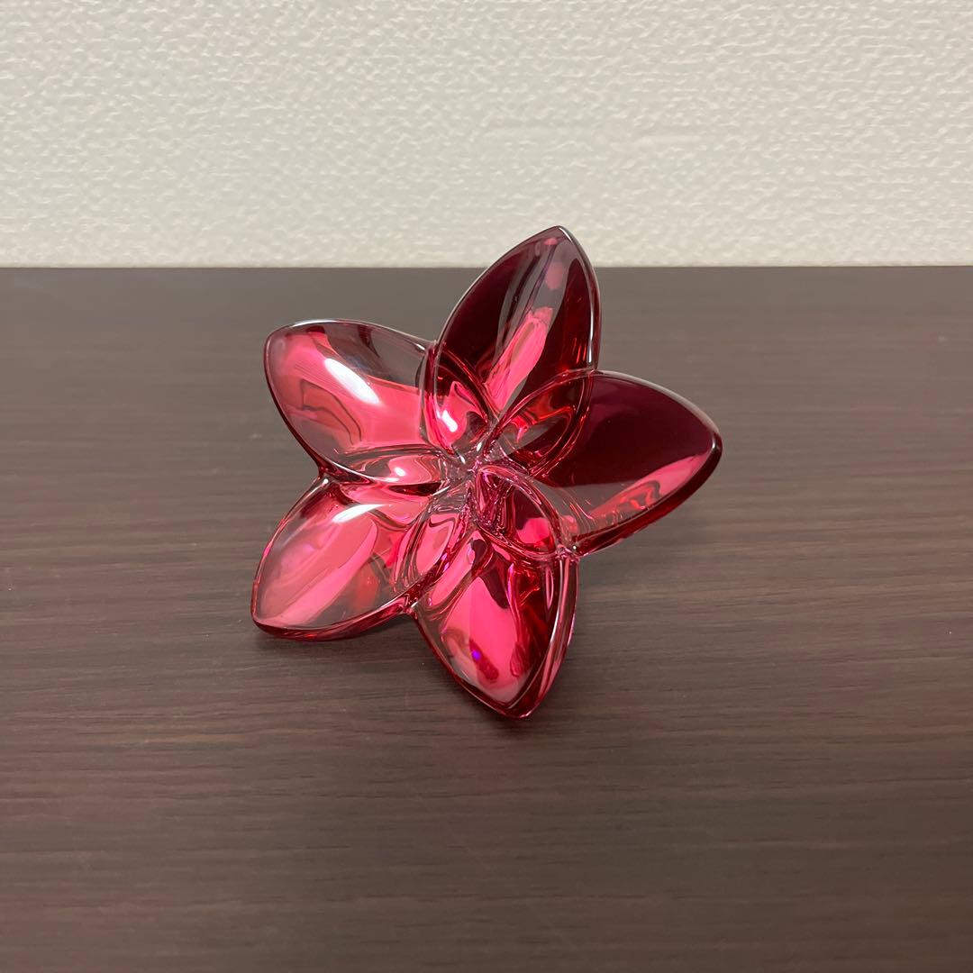 バカラ　ブルーム　ピオニー