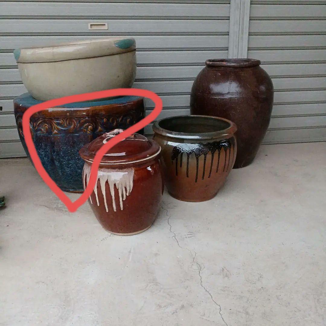 青茶火鉢　水鉢　花鉢　メダカ鉢