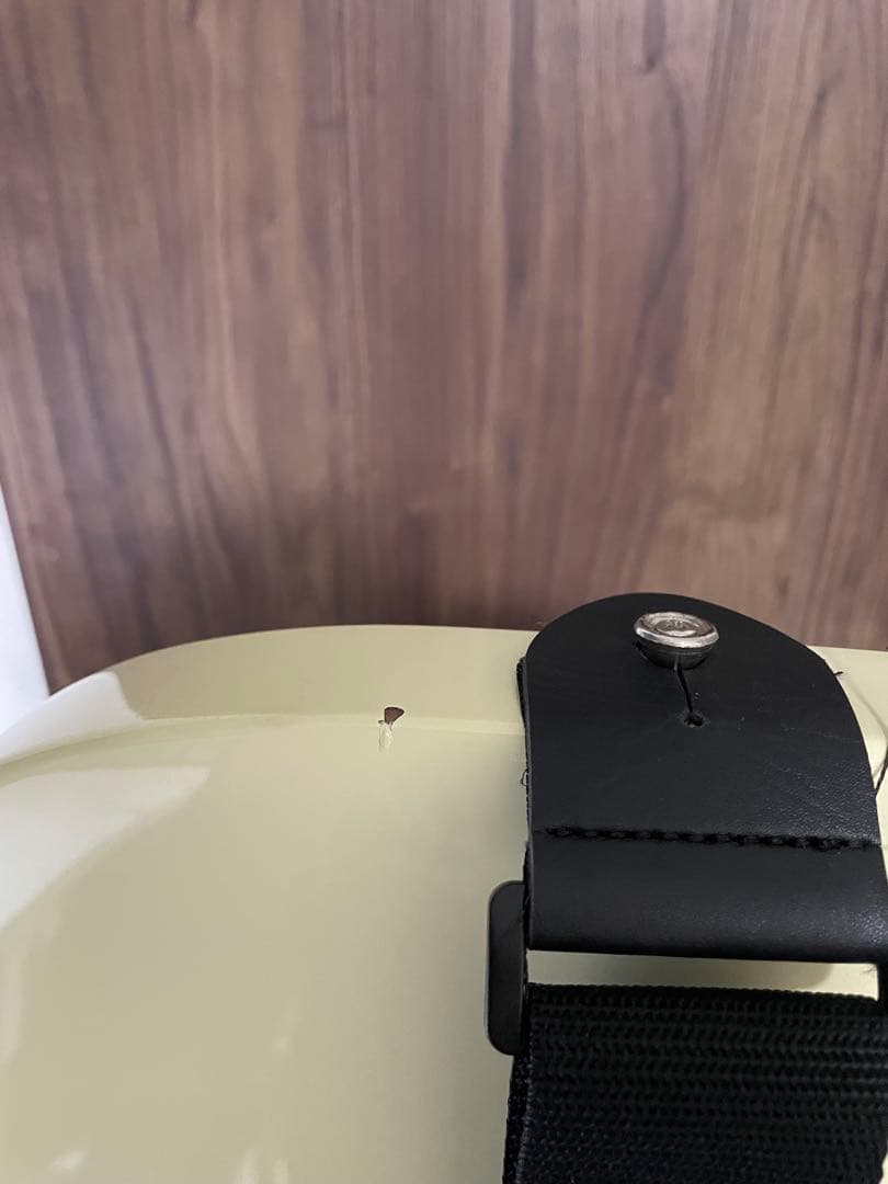 Bacchus Telecaster バッカス テレキャスター