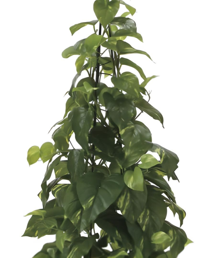 光触媒　人工観葉植物　フェイクグリーン　フレッシュポトス1.2m