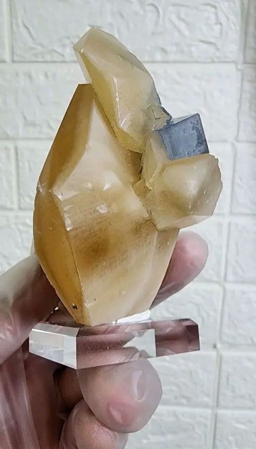 金色の方解石の上に蛍石