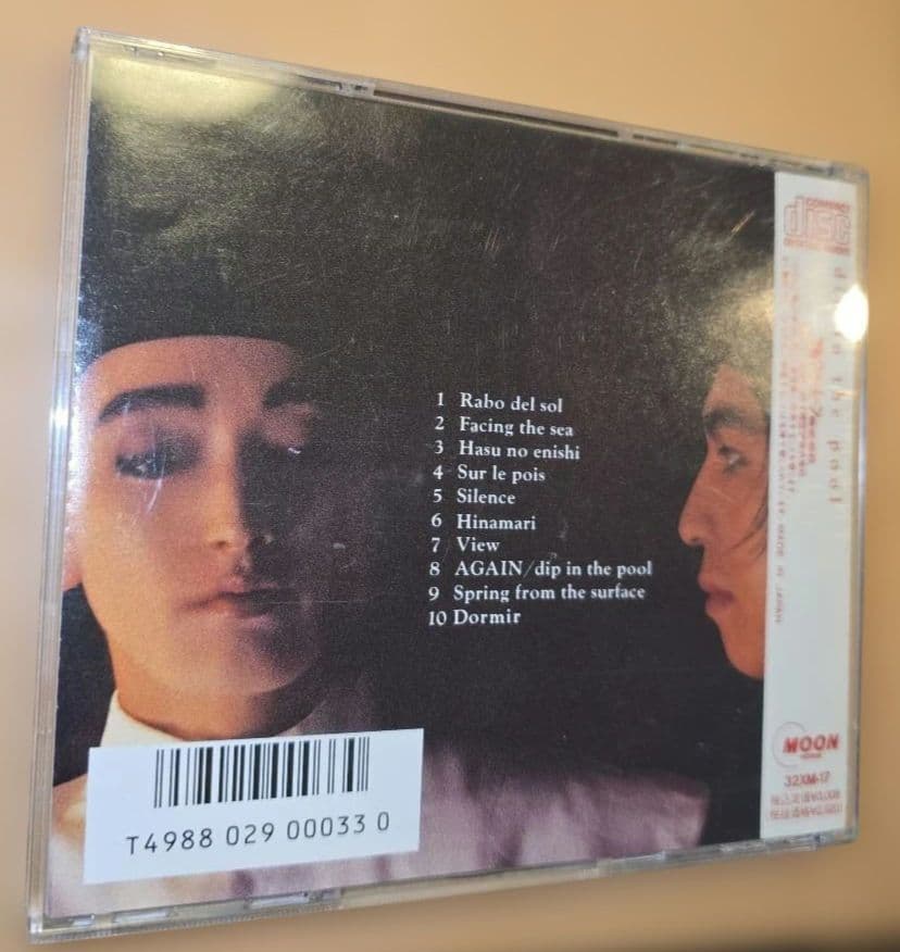 dip in the pool 　ディップインザプール 1986年