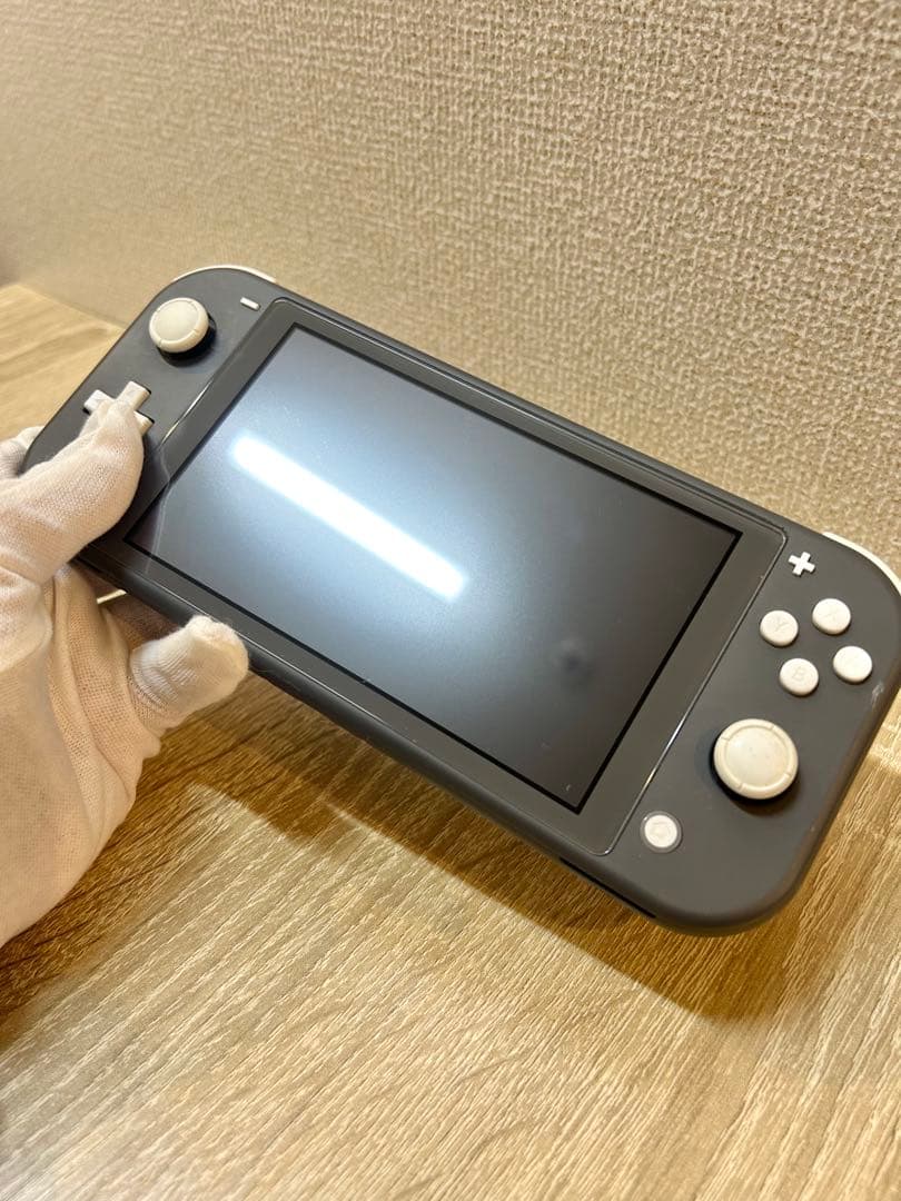 スイッチライトグレー (充電器付)