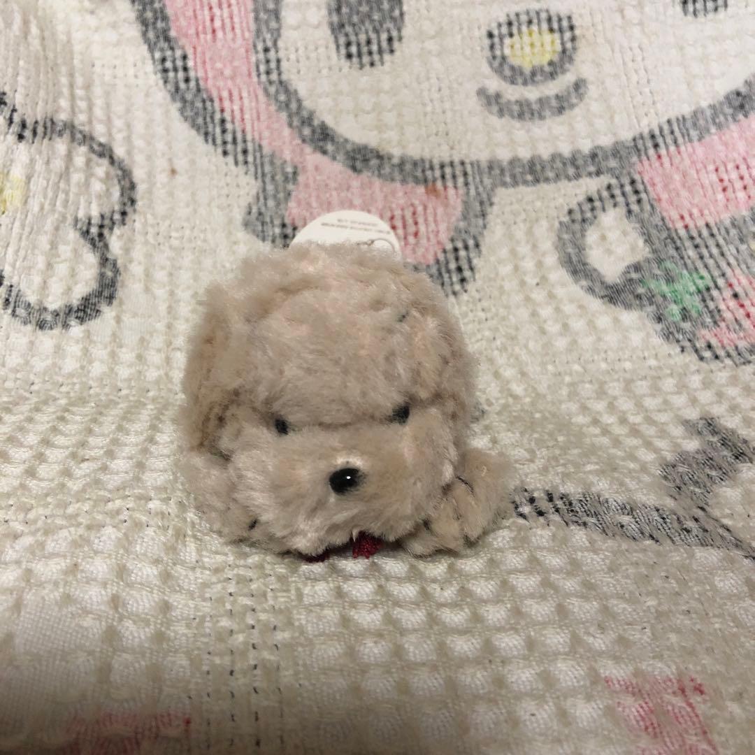 うめ吉　オリエンタルトーイ　寝そべりポーズ　くたくた　手のひらサイズ　2コセット