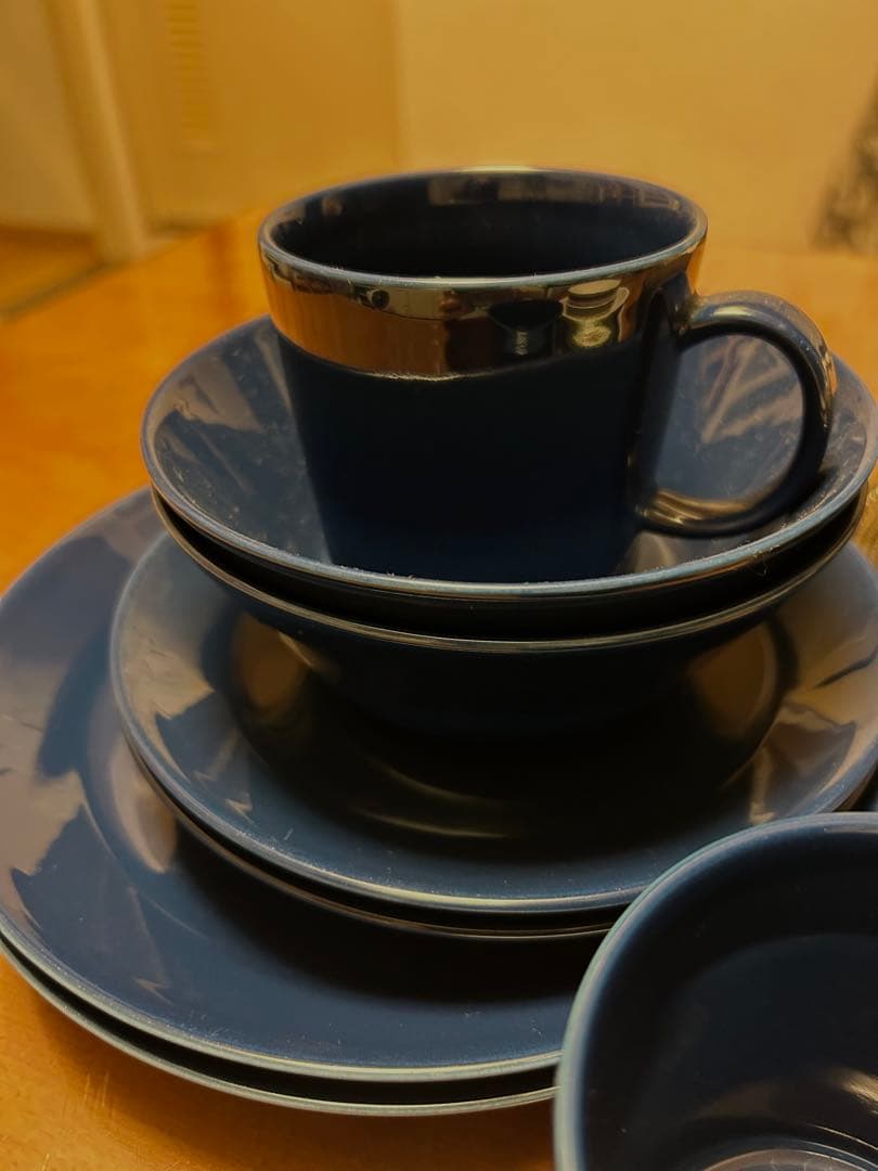 送料別・イッタラ　ティーマ　オリゴ　カステヘルミ　16枚セット