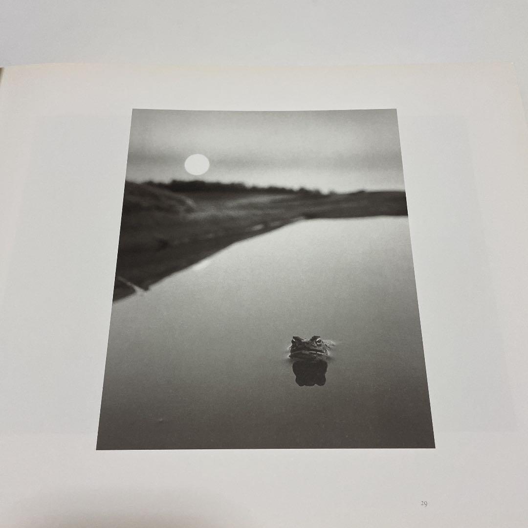 アート・デザイン・音楽 here far away / pentti sammallahti