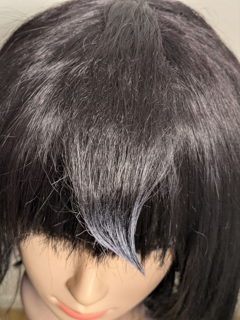 ポケモン ZA ムク コスプレ 衣装 ウィッグ フルセット