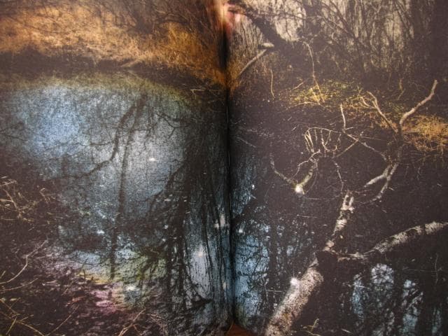 アート・デザイン・音楽 An Vogelhausen Mangelt Es Jedoch Nicht