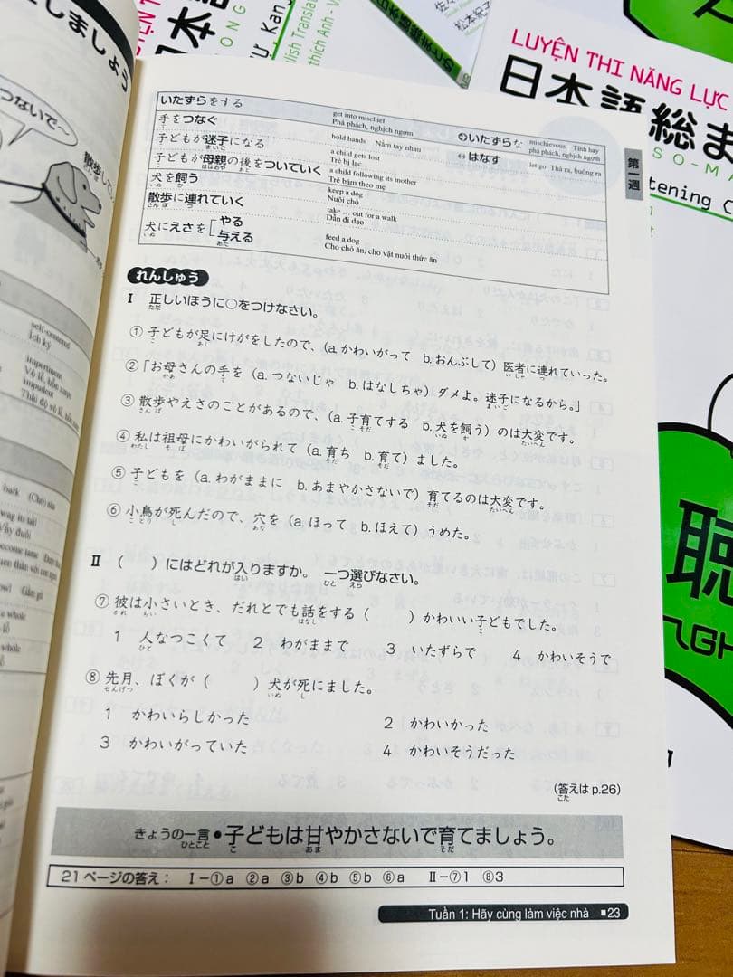 SOMATOME N3 新品 日本語総まとめN3（ベトナム語・英語版）5冊セット